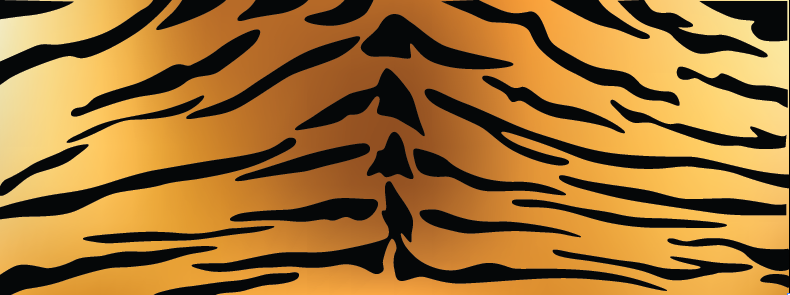 Tiger Fur Texture | Cheap Vector Art - Click Image to Close
